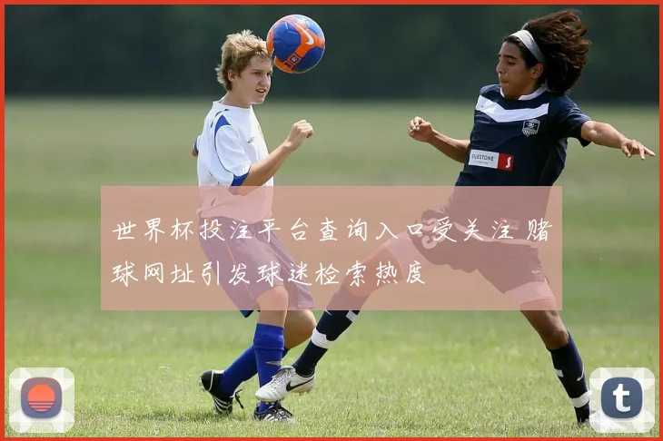 世界杯投注平台查询入口受关注 赌球网址引发球迷检索热度