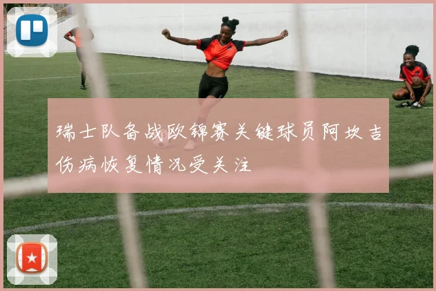 瑞士队备战欧锦赛关键球员阿坎吉伤病恢复情况受关注
