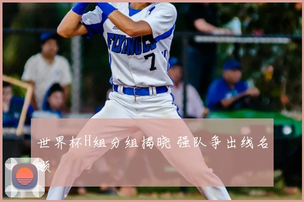 世界杯H组分组揭晓 强队争出线名额