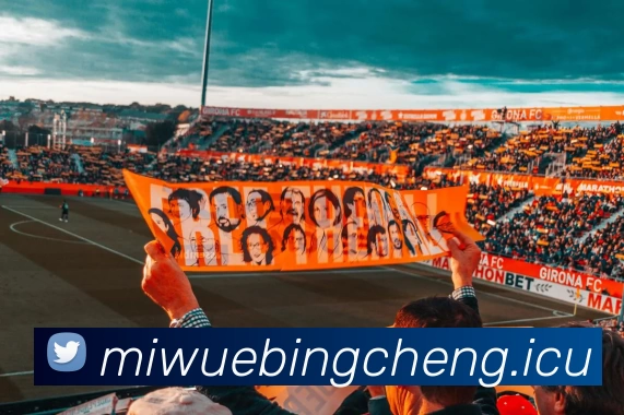 数据防护可视化